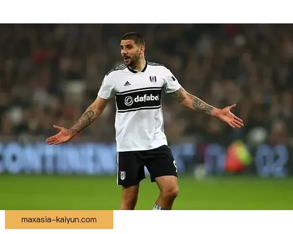 米特罗维奇技术全面性